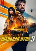 Шальная пуля 3